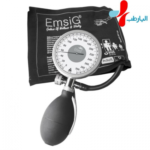 فشارسنج عقربه ای پالم  emsig sf12
